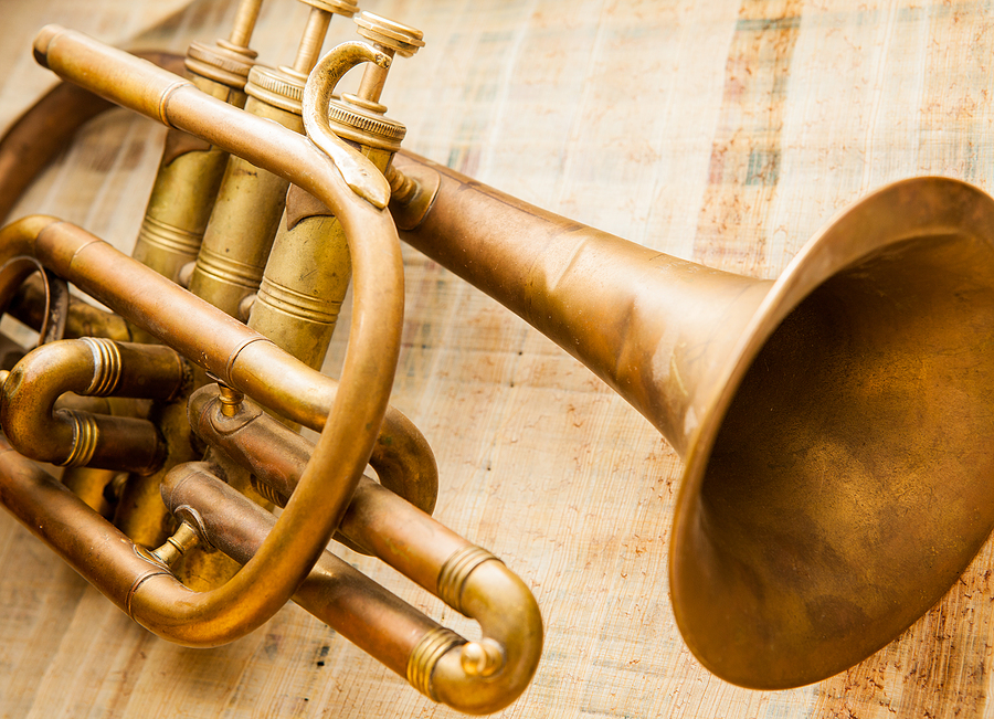 Call 1-888-586-5322 for Brass Instrument Recycling in Indianapolis Indiana